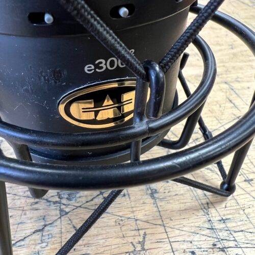 Used CAD E300 2 Equitek Large Diaphragm Multipattern Condenser Mic Microphone with Shock Mount - Image 2