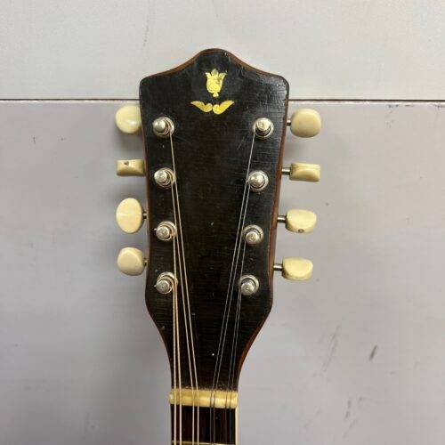 Vintage F-Style 8-String Mandolin with custom coffin style case - Image 3