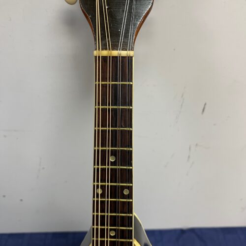 Vintage F-Style 8-String Mandolin with custom coffin style case - Image 4
