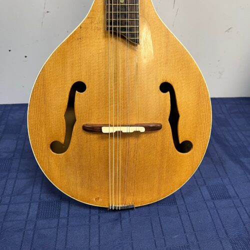 Vintage F-Style 8-String Mandolin with custom coffin style case - Image 6