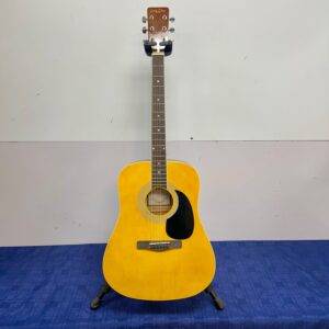 Used Zager Easy Play 5001PK N Acoustic Guitar