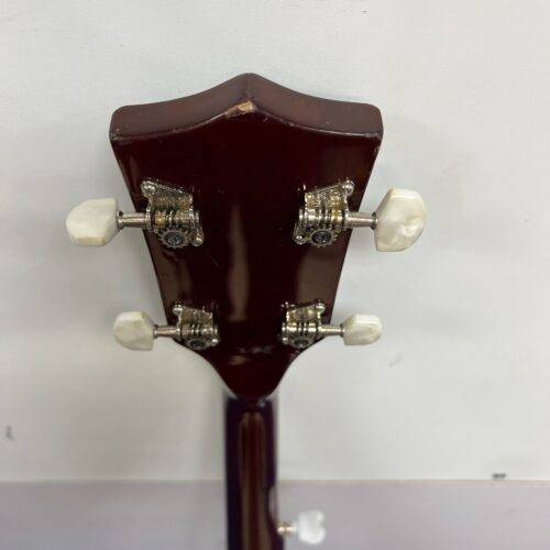 Used Rover 5-String Open Back Banjo - Image 12