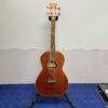 Used Ibanez PNB14E-OPN Acoustic Electric Bass Guitar Open Pore Natural