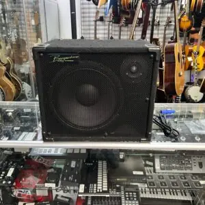 Used Bergantino IP112 500W Powered Bass Cab Cabinet