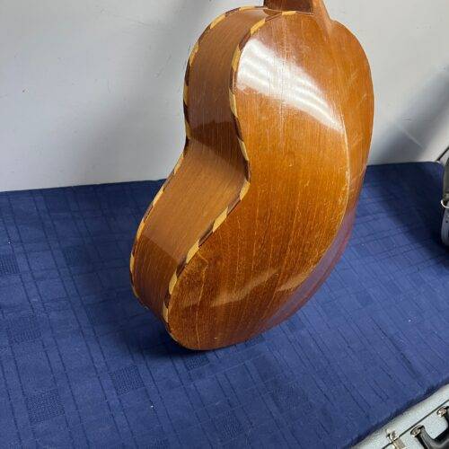 Used Custom 5-String Vihuela with Case - Image 20