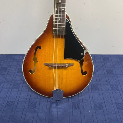 Used Caraya MA-006 A-Style 8-String Mandolin - Image 5