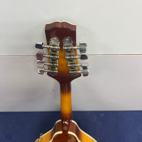 Used Caraya MA-006 A-Style 8-String Mandolin - Image 10