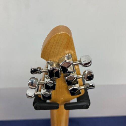 Used Peavey Raptor Plus Electric Guitar with Gig Bag - Image 12
