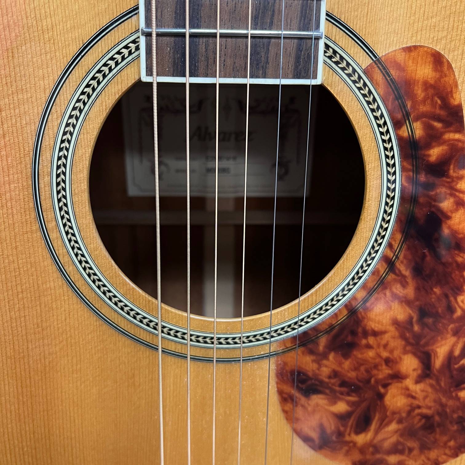 Used Alvarez MD60BG Masterworks 60 Dreadnought Bluegrass Acoustic Guitar with Case - Image 8