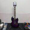 Used ESP LTD Viper-1000 2020 - Present - See Thru Purple Sunburst Electric Guitar